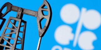 Reunión virtual de la OPEP - Noticias Ahora