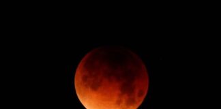 Eclipse lunar noviembre - Noticias Ahora