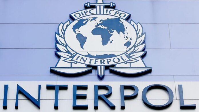 Nuevo presidente de la Interpol