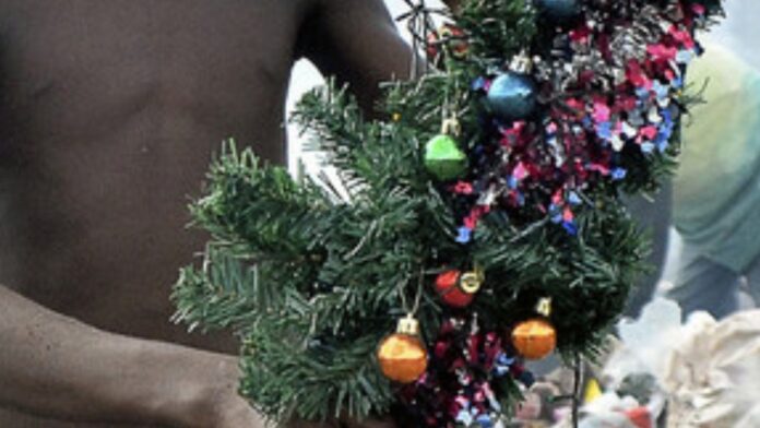niño encuentra un árbol de Navidad - niño encuentra un árbol de Navidad