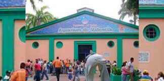 Aquarium de Valencia - Aquarium de Valencia