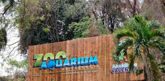 Cierran Aquarium de Valencia 2021 - Cierran Aquarium de Valencia 2021