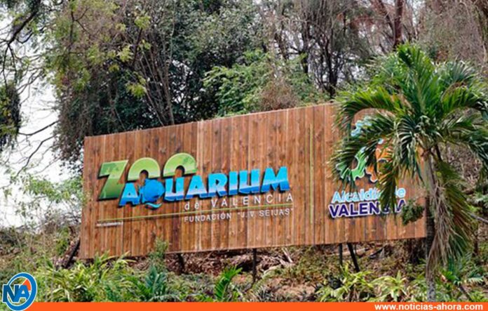 Cierran Aquarium de Valencia 2021 - Cierran Aquarium de Valencia 2021