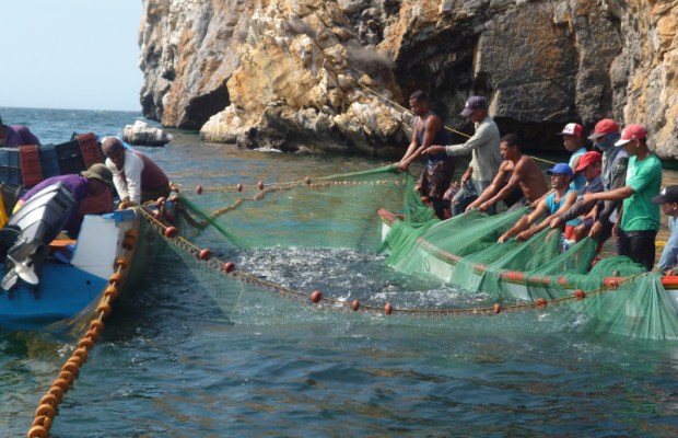 Pescadores suspenden flotas en Nueva Esparta - NA