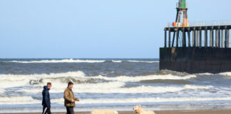 enfermedad en perros en las playas del Reino Unido