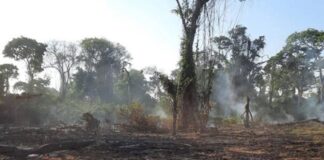 Incendios en Escuela Agronómica Salesiana - Incendios en Escuela Agronómica Salesiana