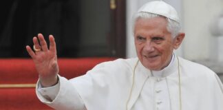 Benedicto XVI debe pedir perdón - NA