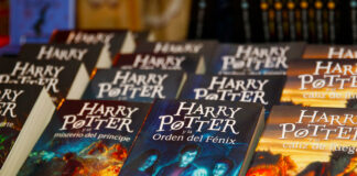 Quema de libros de Harry Potter y Crepúsculo en EEUU - NA
