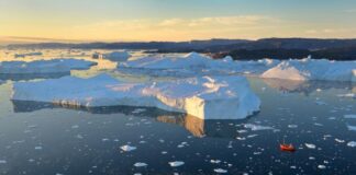 Ártico se calienta - Noticias Ahora
