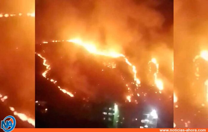 incendios forestales en Aragua - incendios forestales en Aragua