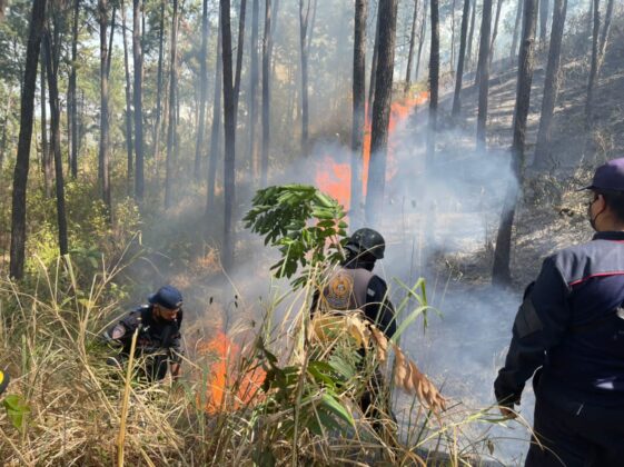 Bomberos Forestales Atienden Siniestro En Cerro El Café