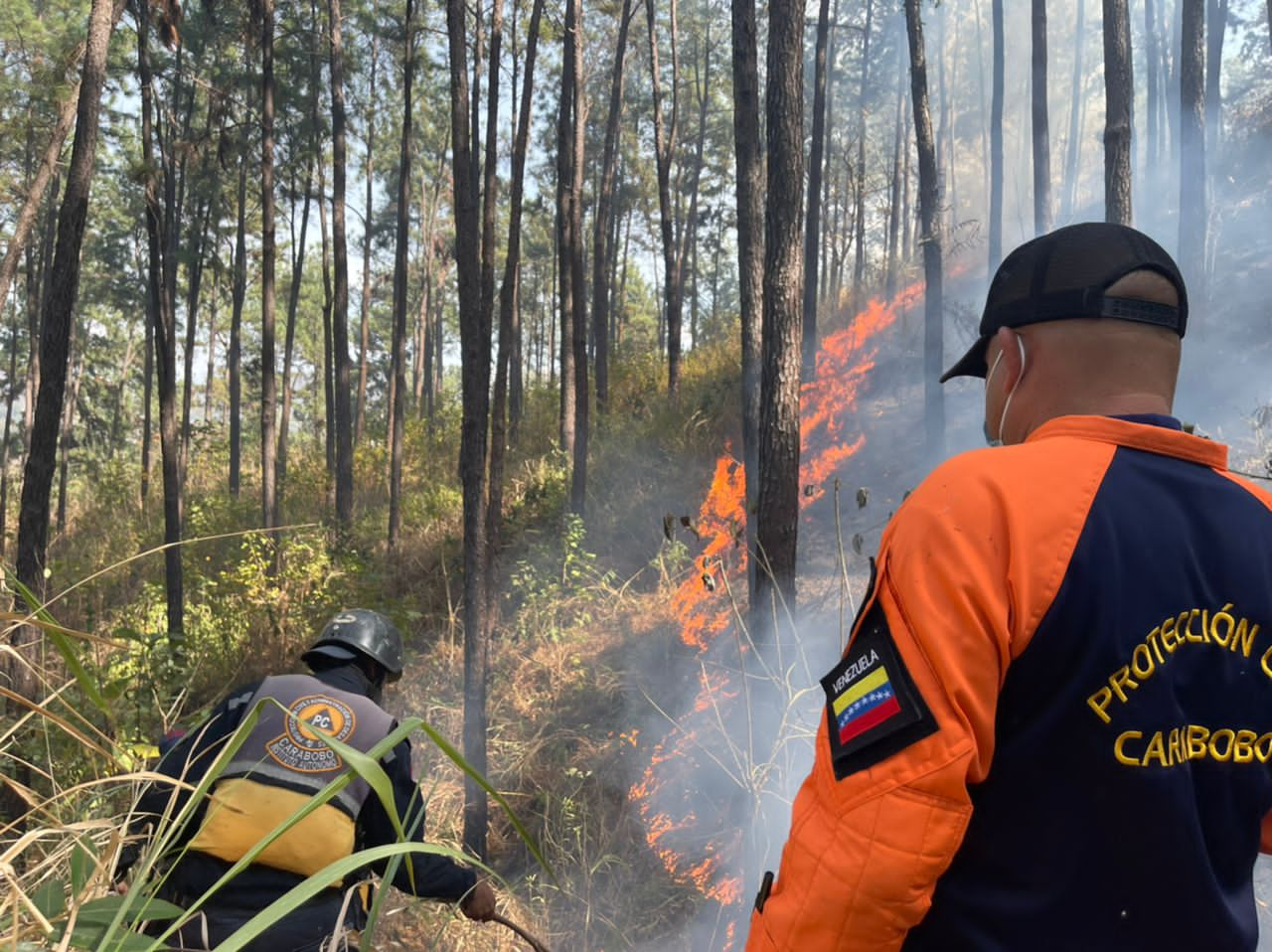 Bomberos Forestales Atienden Siniestro En Cerro El Café