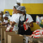 Maduro duplicará el abastecimiento de los CLAP - NA