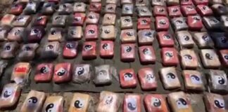 Fuerza Armada incauta kilos de cocaína
