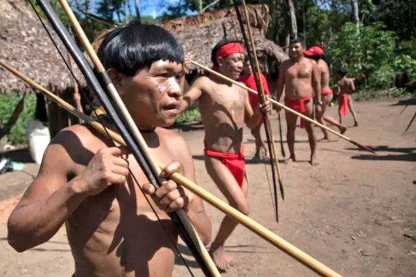 Mueren cuatro indígenas yanomamis en Amazonas - NA