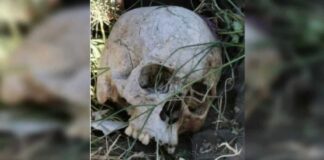 cráneo humano en una carretera de Mérida - NA