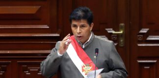 Perú rechaza destitución de Pedro Castillo - NA