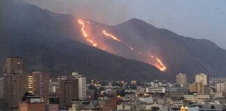 Incendio en el Ávila - Noticias Ahora