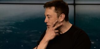 Elon Musk Twitter - Elon Musk Twitter