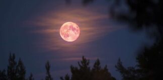 Luna rosa abril - Noticias Ahora