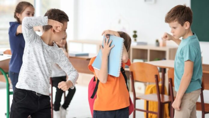 Escuelas privadas piden reformular ley contra el bullying