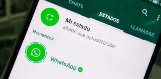Cuántas veces ven estados de WhatsApp - Noticias Ahora
