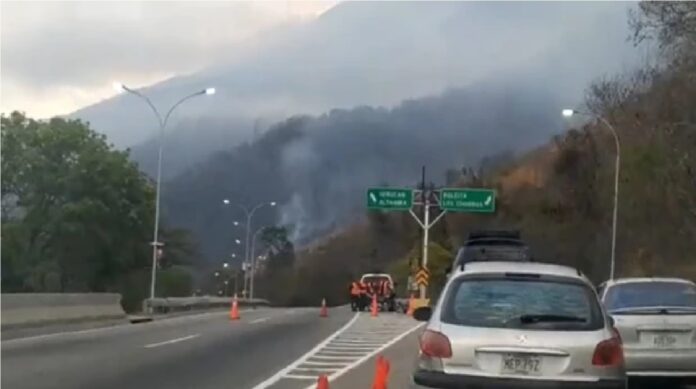 incendio forestal en el Ávila