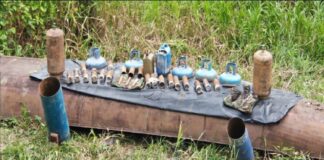 FANB desactiva artefactos explosivos en Apure