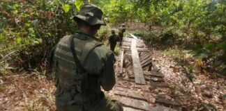 FANB incauta 10.000 litros de químicos