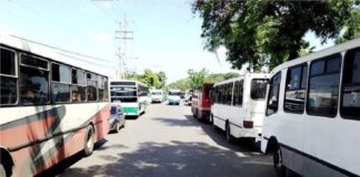 Paralizada flota de transporte en Aragua