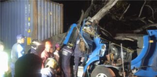 árbol causó la muerte de camionero