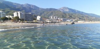 Ganancias de playeros en La Guaira