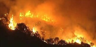Incendio forestal en Hollywood Hills