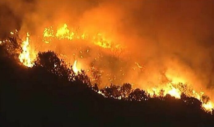 Incendio forestal en Hollywood Hills