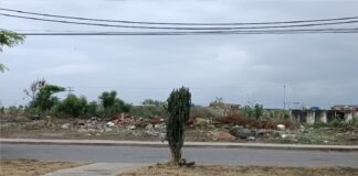 acumulación de basura y maleza alta en Ciudad Alianza