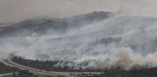 Incendio forestal acaba con 20.000 hectáreas en España