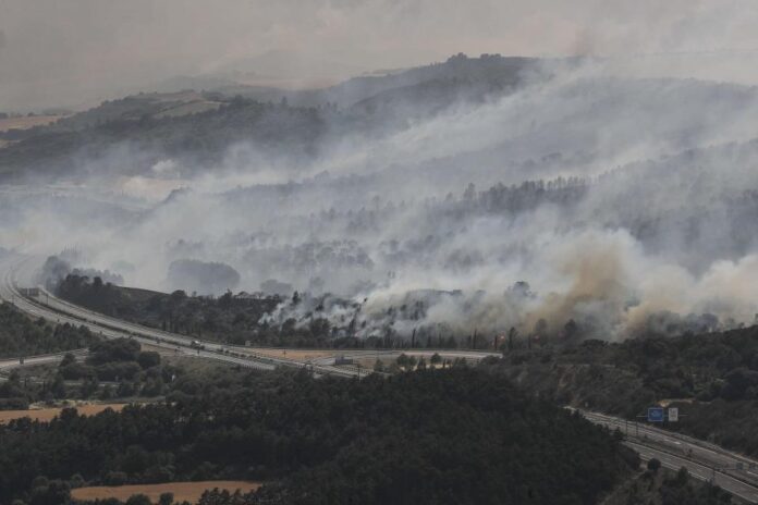 Incendio forestal acaba con 20.000 hectáreas en España