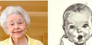 Murió bebé Gerber - Noticias Ahora