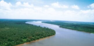 Tres desaparecidos tras naufragio en el río Orinoco