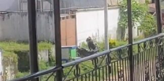 explosión de motobomba en Colombia