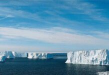 nuevo ecosistema en las profundidades de la Antártida