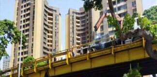 rehabilitación del elevado de Maripérez