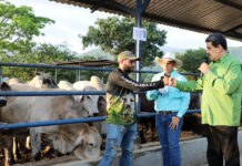 Producción de carne en Venezuela