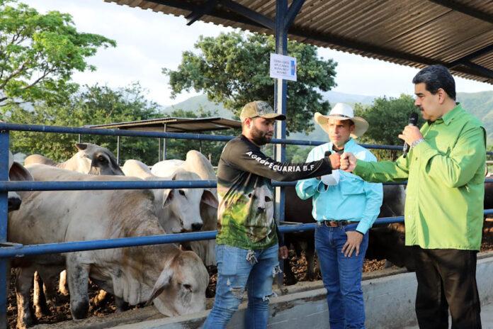 Producción de carne en Venezuela