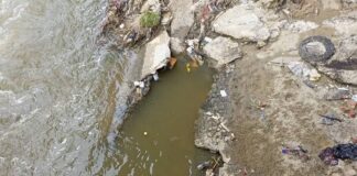 Cadáver en el río Guaire