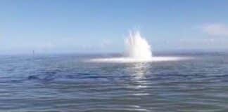 fuga de gas de tubería submarina en Falcón