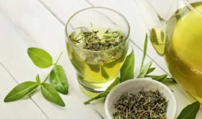 infusión de té verde