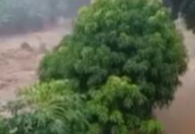 Fuertes lluvias en Aragua