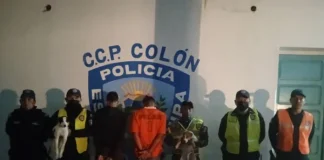 Detenidos por cortarles las orejas a dos perros en Táchira