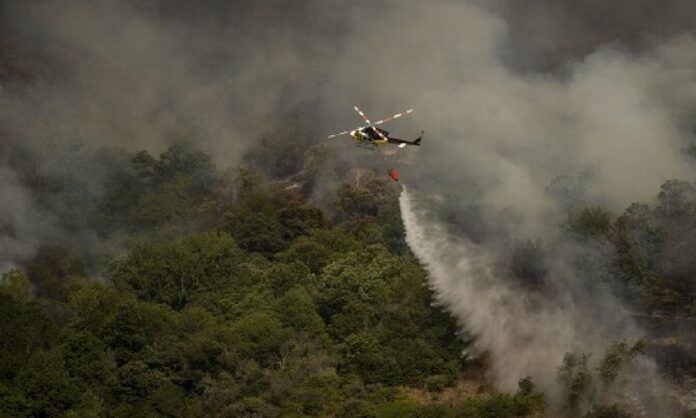 España incendios forestales